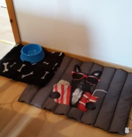 Lulu Apartamento *
